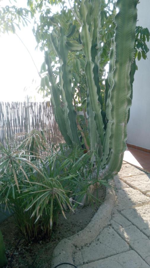 Apartamento Pardela Costa Adeje  Zewnętrze zdjęcie