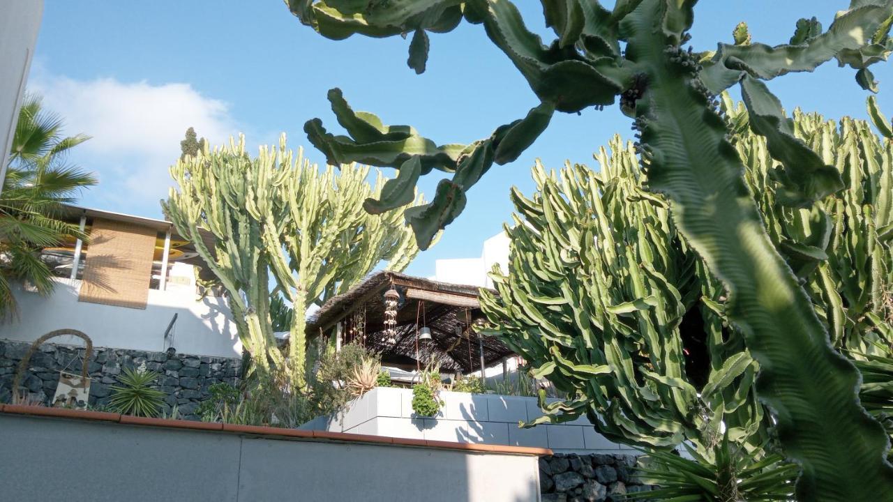 Apartamento Pardela Costa Adeje  Zewnętrze zdjęcie