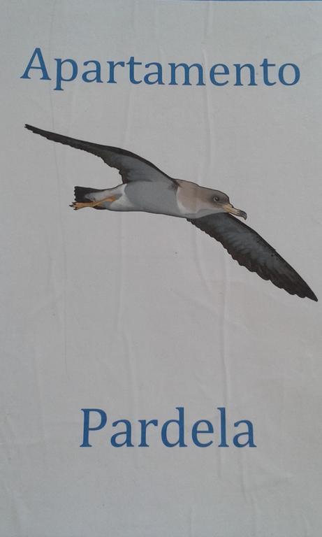 Apartamento Pardela Costa Adeje  Zewnętrze zdjęcie