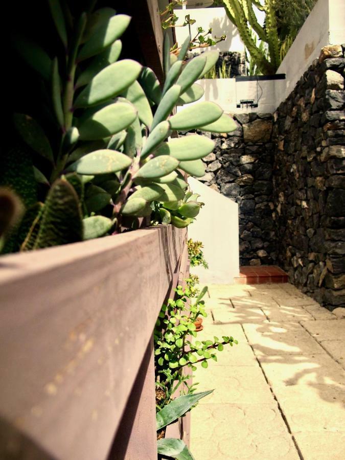 Apartamento Pardela Costa Adeje  Zewnętrze zdjęcie